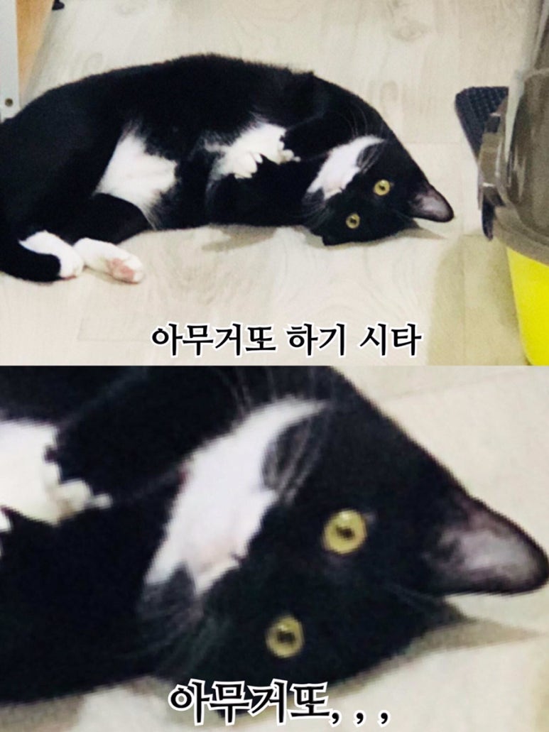다가수산 이미지