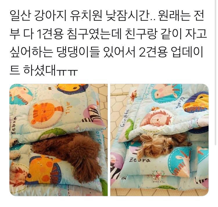 안녕하새우 이미지