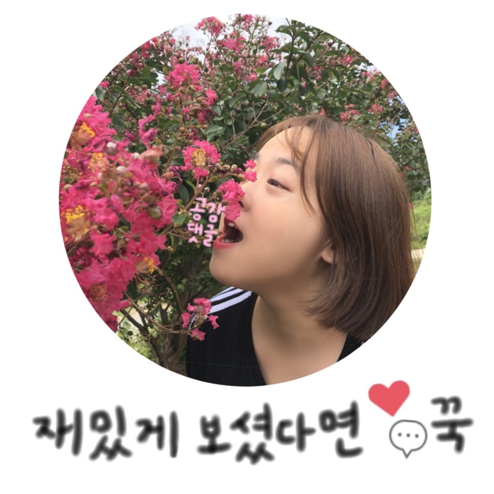 멕시카나치킨송현점 이미지
