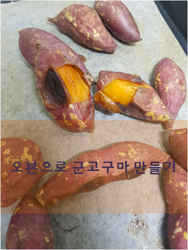 부산글라스텍 이미지