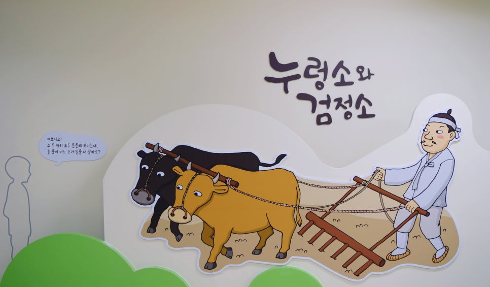 섬강식품 이미지