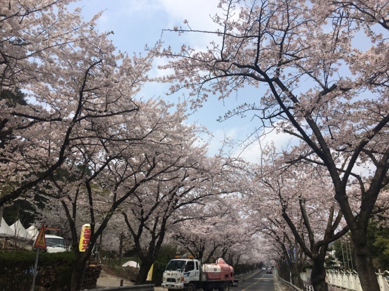 성산인력 이미지