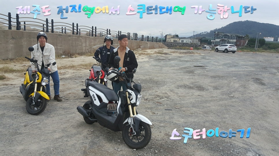 스쿠터꽃 이미지