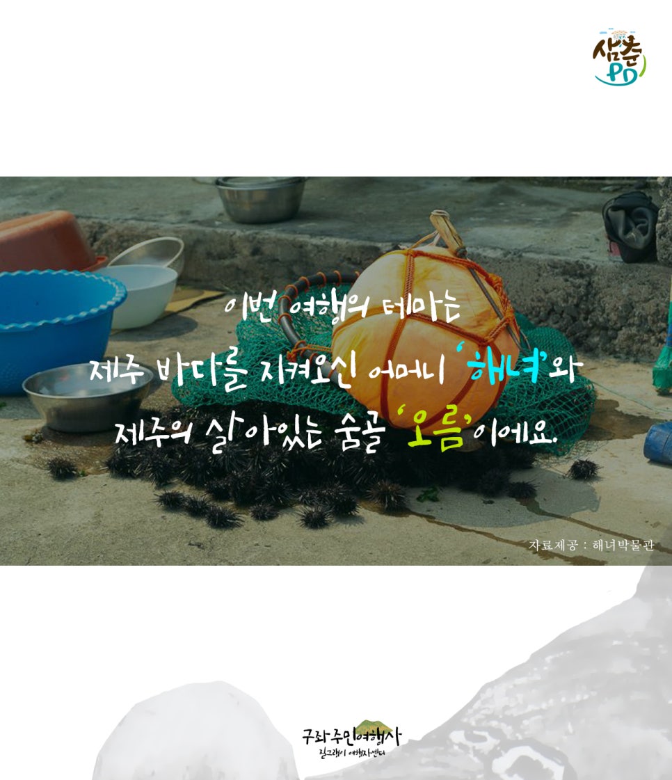 세화여행사 이미지
