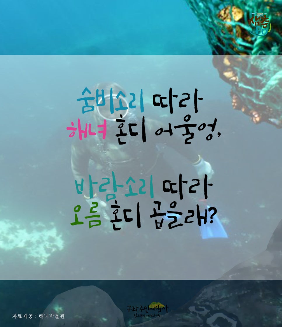 세화여행사 이미지