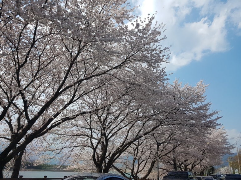 청학동여관 이미지