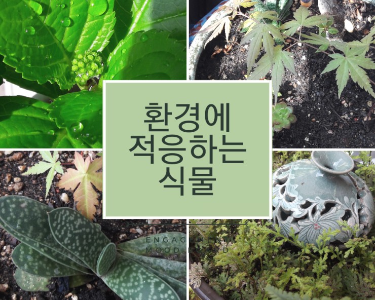 이루리정원 이미지