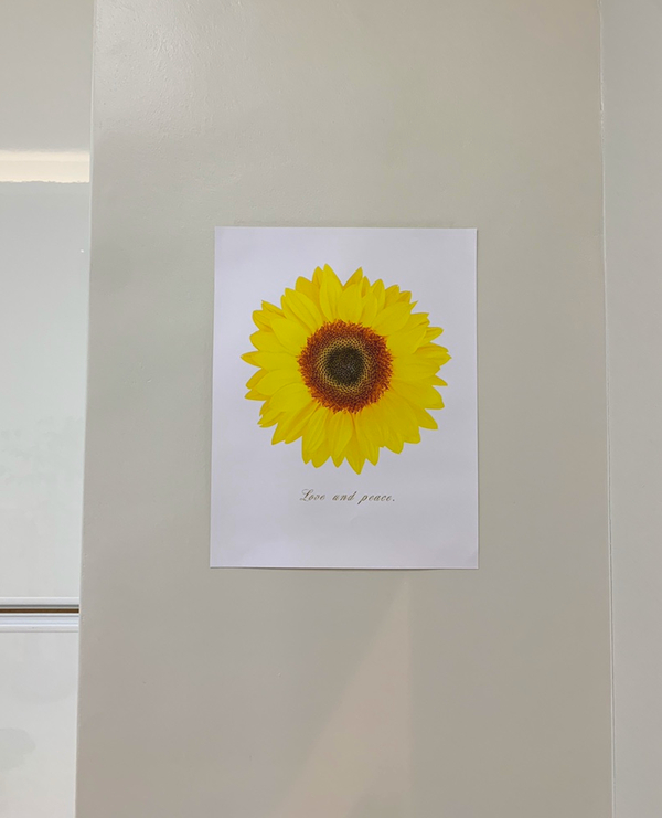 한예종영재발레학원 이미지