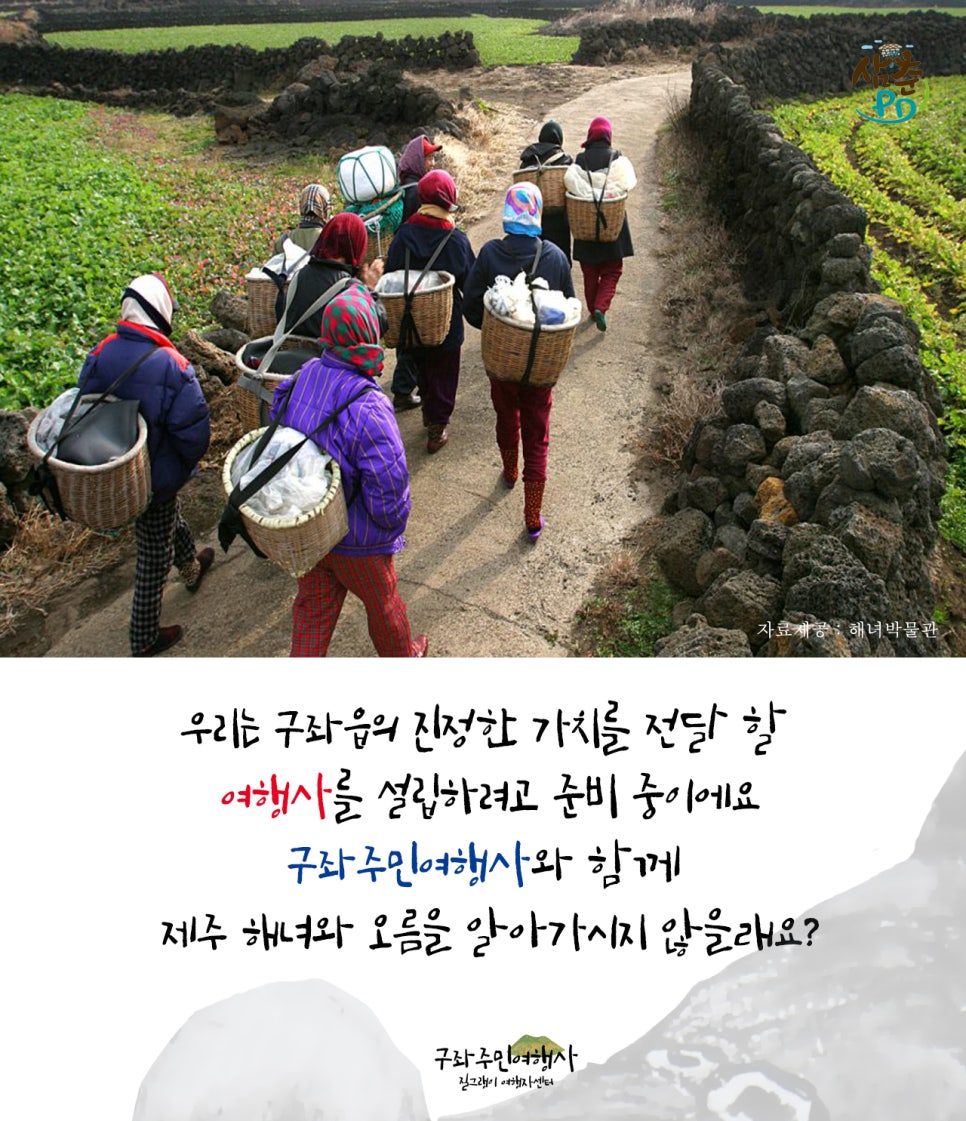 세화여행사 이미지