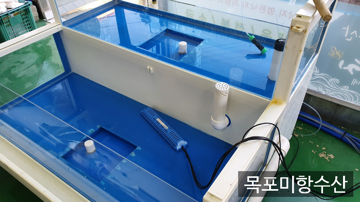 목포뻘낙지 이미지