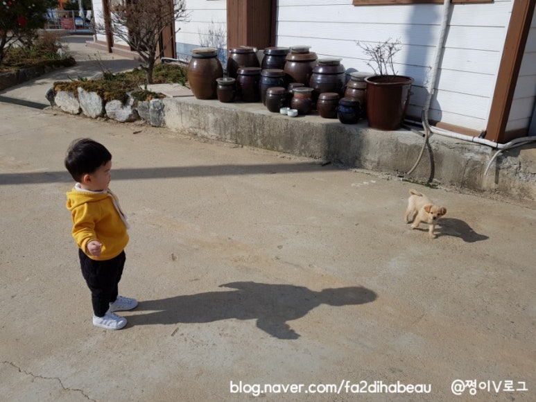아라아띠 이미지