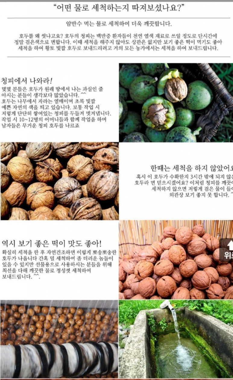 영희농장 이미지