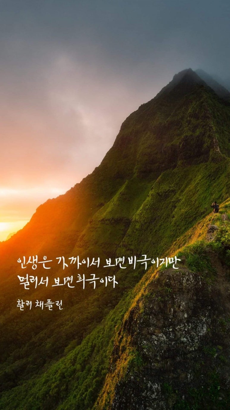 도미라 이미지