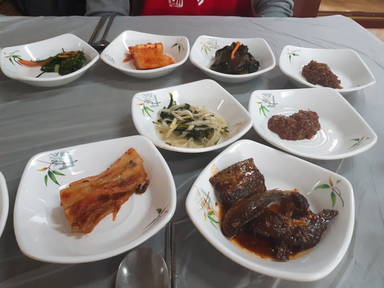 초원대중 이미지