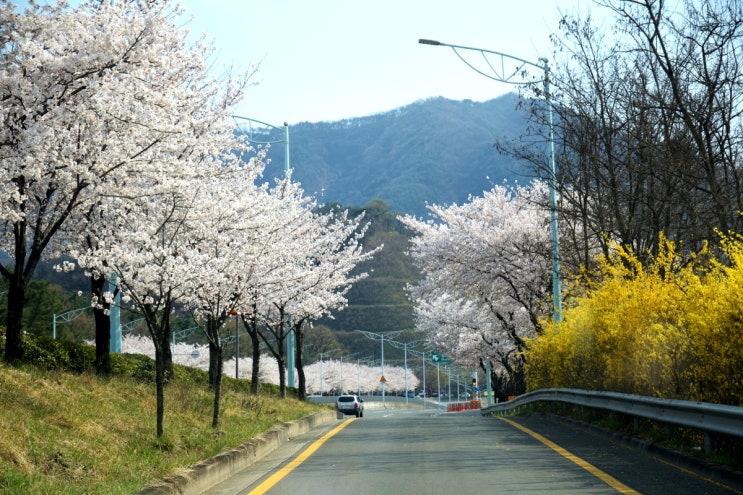 범안과 이미지