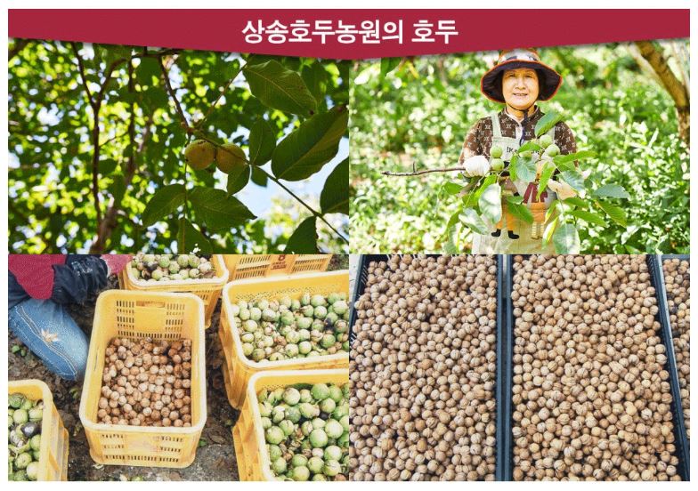 상송농원 이미지