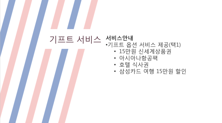 세이항공여행사 이미지
