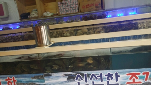 조개천하 이미지