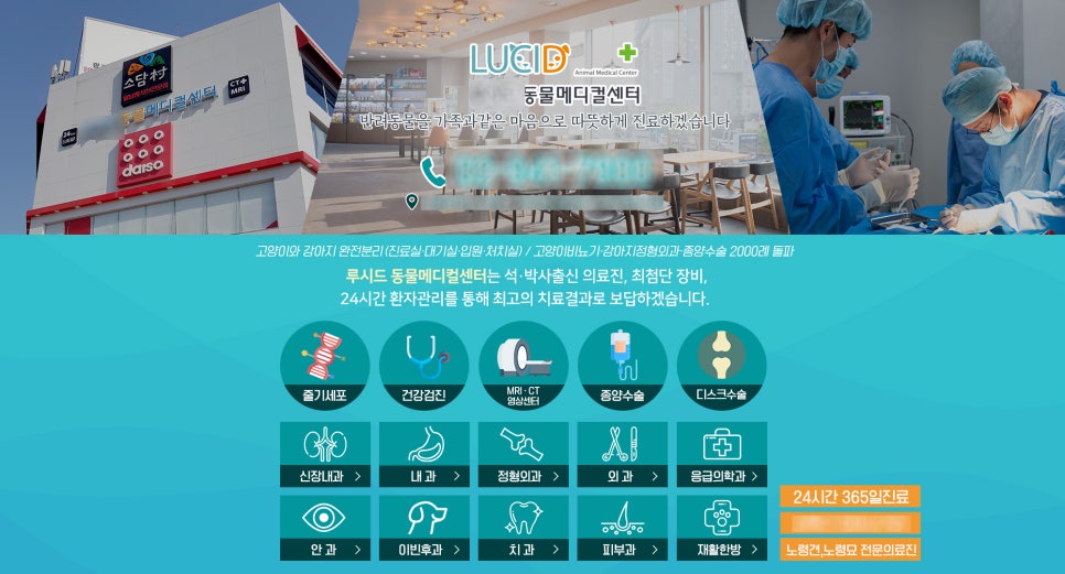 에스이아이주 이미지
