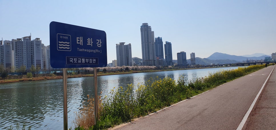 드라이빙114실내운전 이미지
