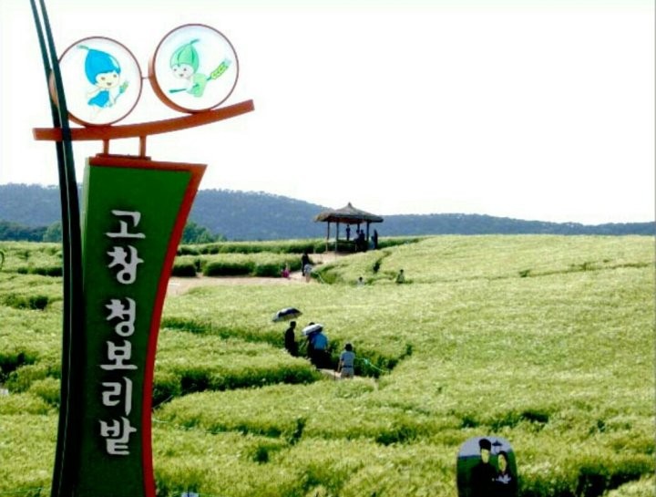 콜핑부산 이미지