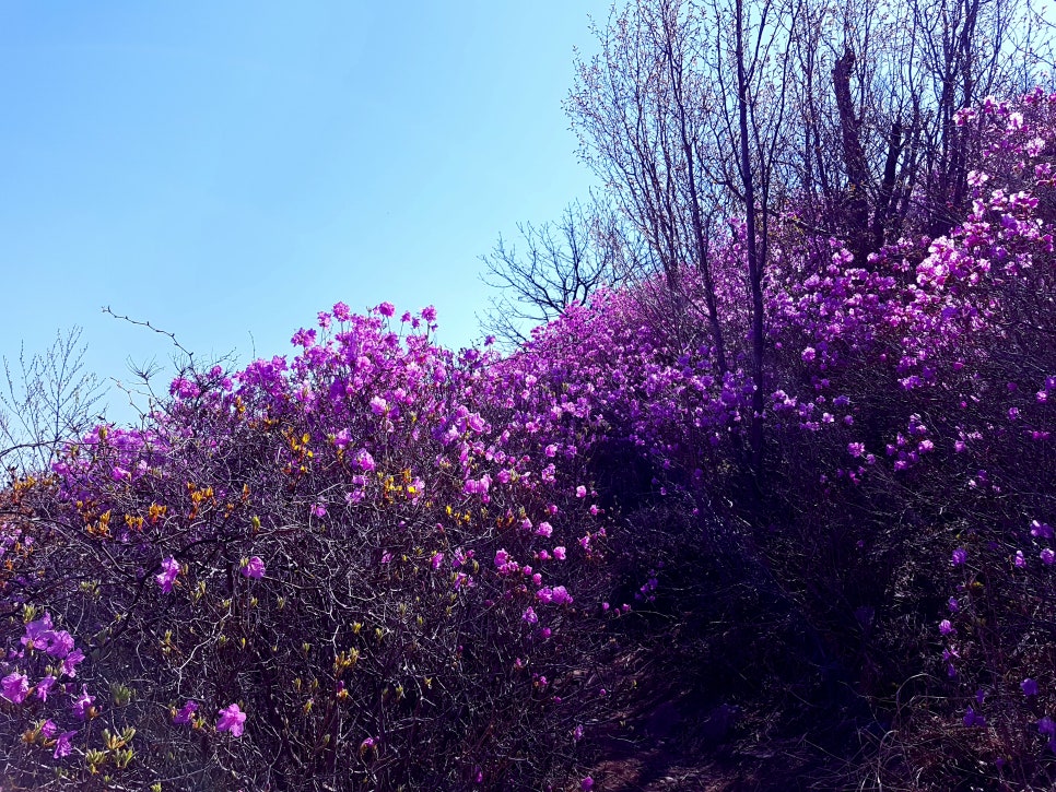뚜레쥬르부산남천점 이미지