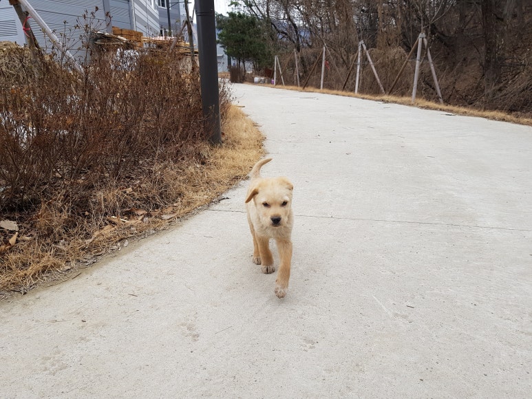 삼일타이어 이미지