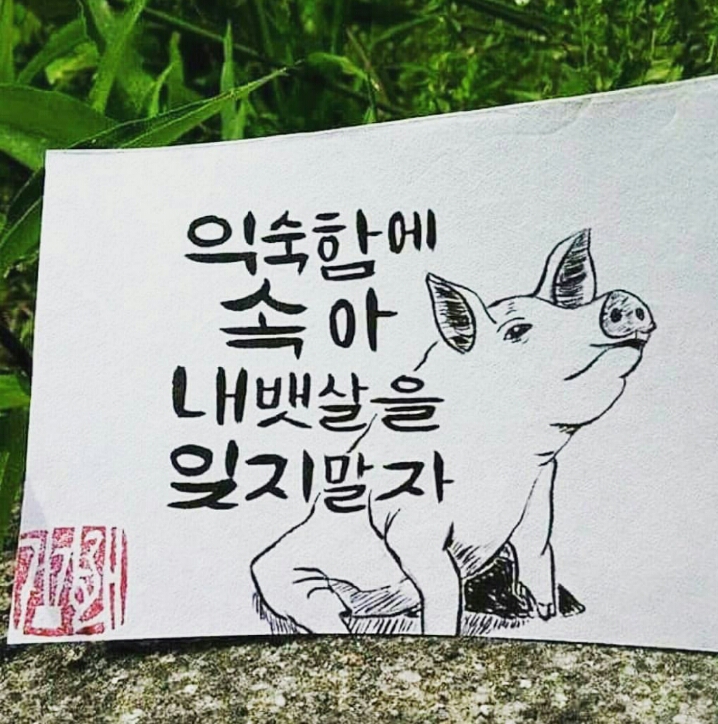 고고짐 이미지