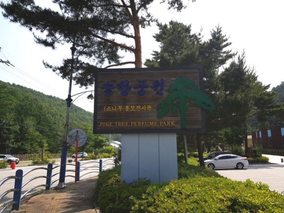 솔향공원 스카이바이크 시설 이미지