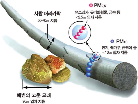 (주)단정바이오 이미지