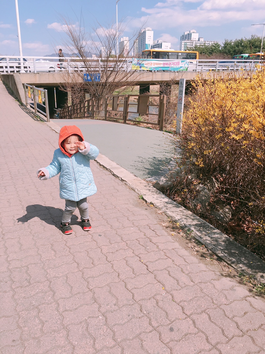 바이타미 이미지