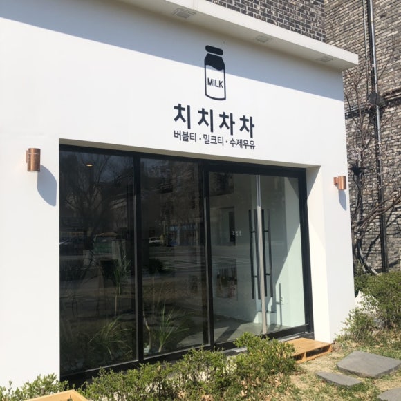 치치차차 이미지