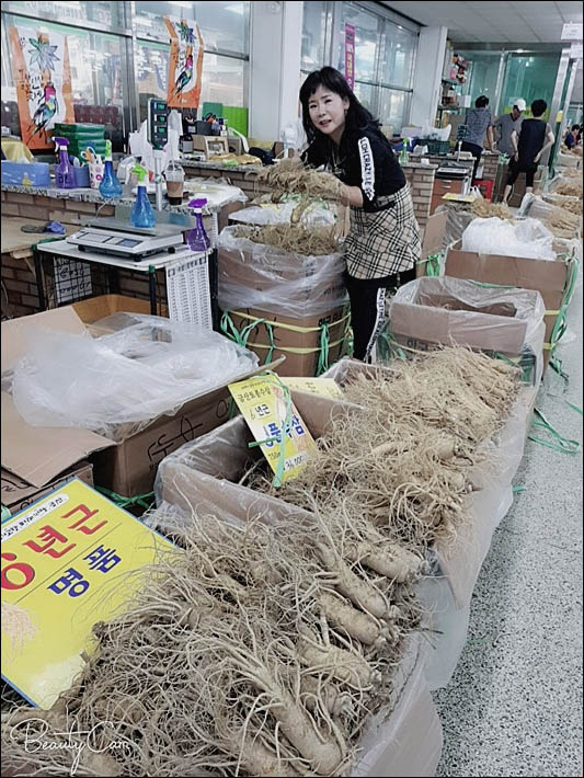 금산인삼사 이미지
