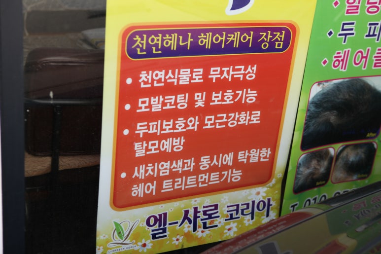 엘샤론 코리아 이미지