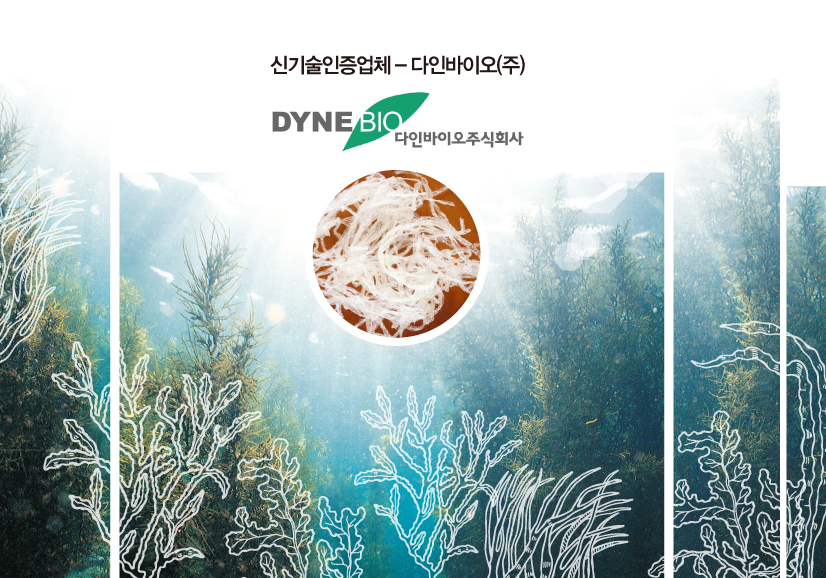 다인기획 이미지