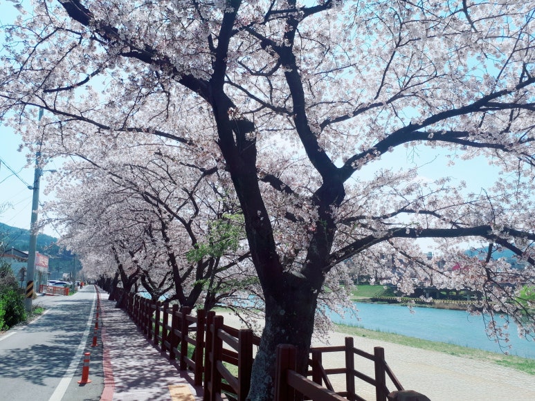동천상사 이미지