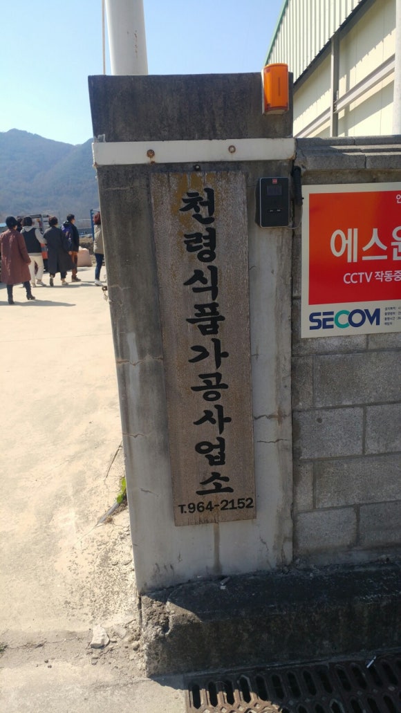 용담베리숲 이미지