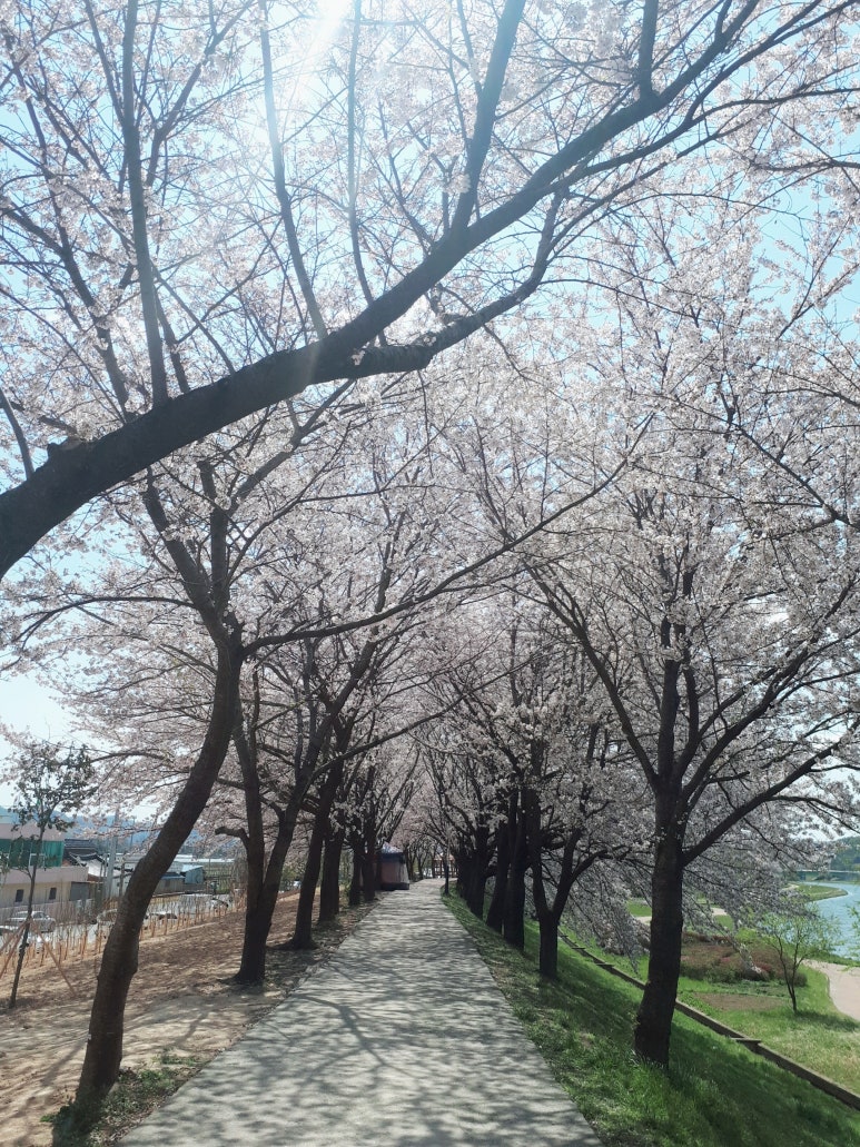 동천상사 이미지