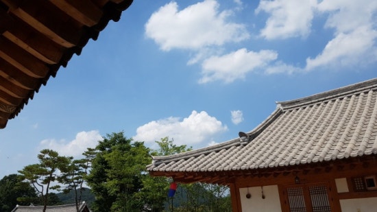 세계로유통 이미지