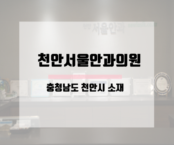 천안서울안과의원 이미지