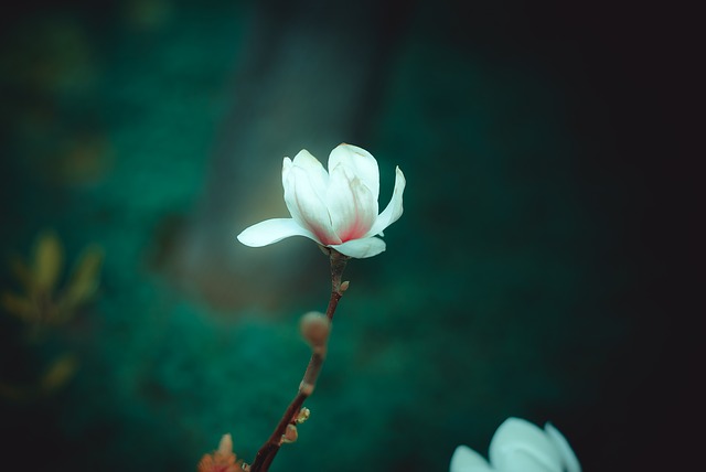 목련슈퍼 이미지