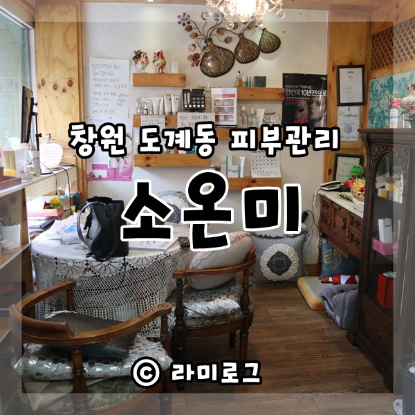 소온미 이미지