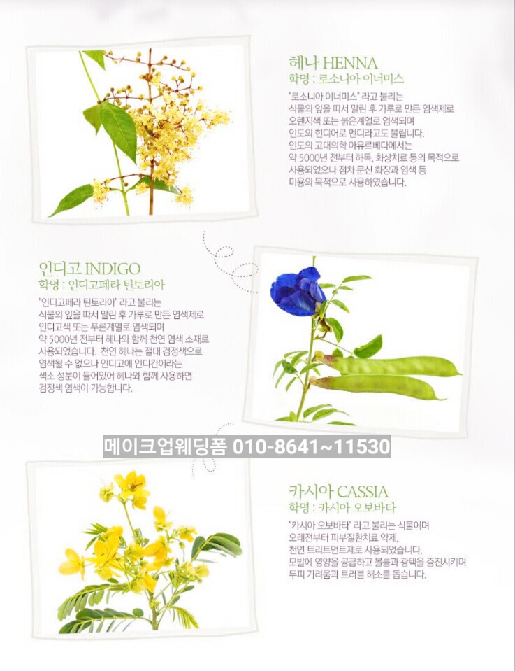 안전지대미용실 이미지