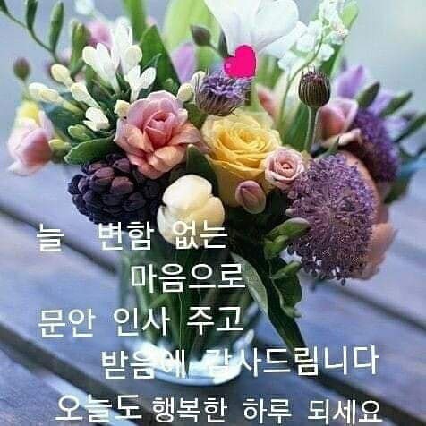김해커먼레일 이미지