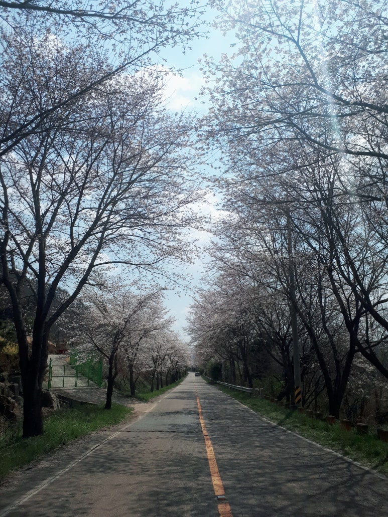 동천상사 이미지