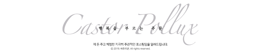 추사로칼국수 이미지