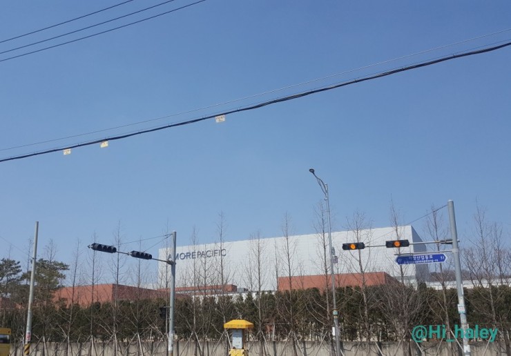 베이커리카페빵파네 이미지