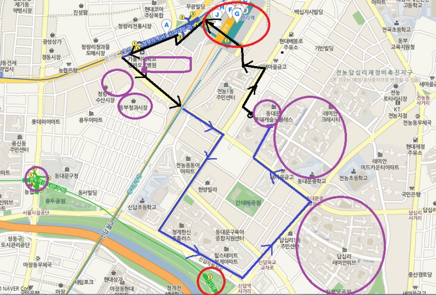 파랑청과 이미지