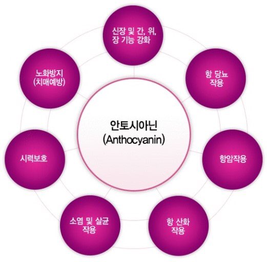 고구마스튜디오 이미지