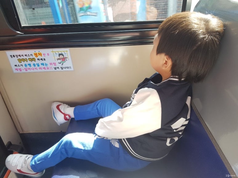 롯데부산바오바오 이미지